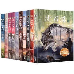 沈石溪动物小说全集正版全套10册 动物小说大王的书系列精品珍藏版 小学生课外阅读书籍三四五六年级课外书5适合儿童书籍8一12岁看