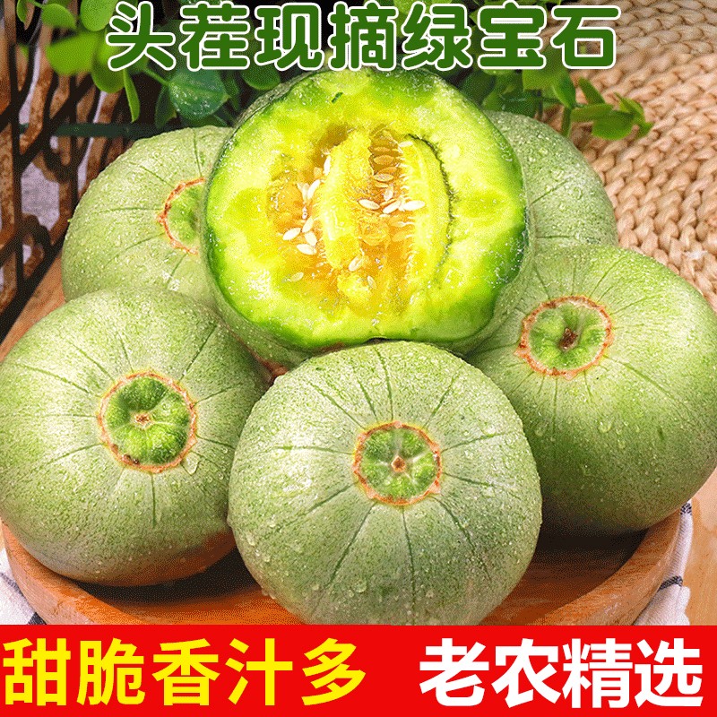 香甜 绿宝石甜瓜山东头茬绿宝甜瓜新鲜水果脆甜多汁皮薄肉厚