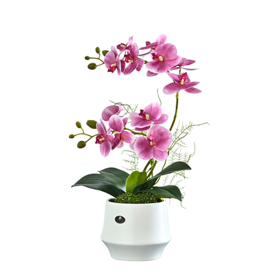 北欧轻奢蝴蝶兰仿真花假花装饰花客厅茶几玄关花艺餐桌花摆花摆件