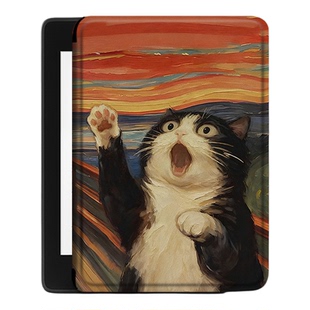 适用掌阅 light2/3/4/悦享版/青春版全系列neo2/3/Pro全系列软硬壳保护套