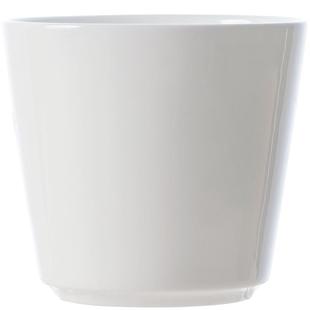 景德镇白色骨瓷茶杯水杯陶瓷杯摆台茶杯商用饭店釉下彩杯子无把杯