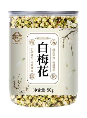 白梅花绿萼梅正品自营