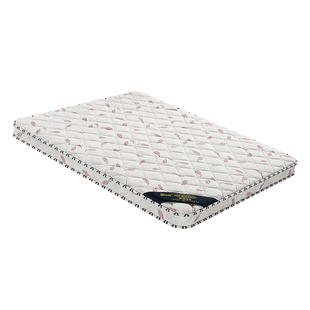 床垫椰棕家用护脊棕榈硬垫10cm厚软床垫加硬租房专用可折叠床垫子