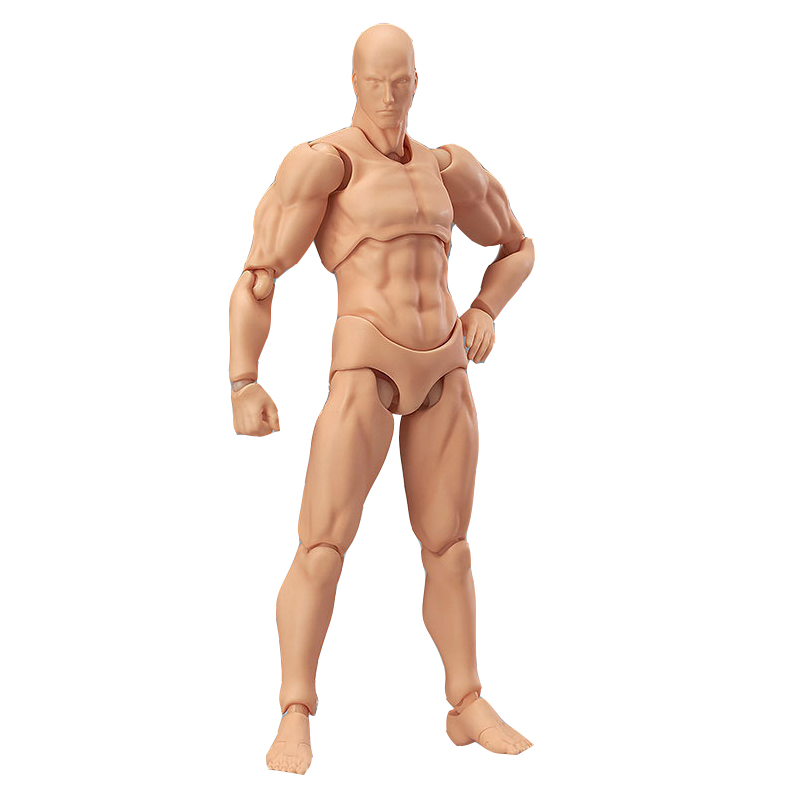 figma素体美术人体模型玩具日本人偶关节可动成人绘画肌肉shf素体