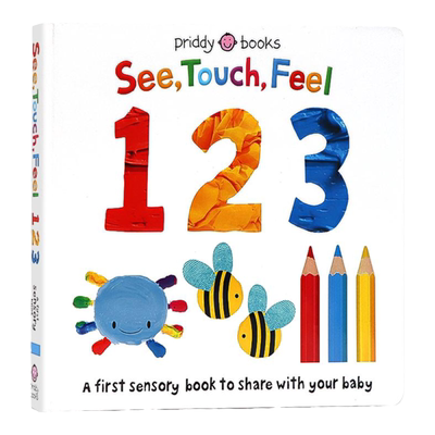 触摸书数字学习英文原版