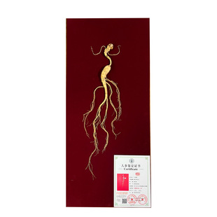 省检一等野山参吉林长白山人参林下参干货整根礼盒泡酒专用二等粉