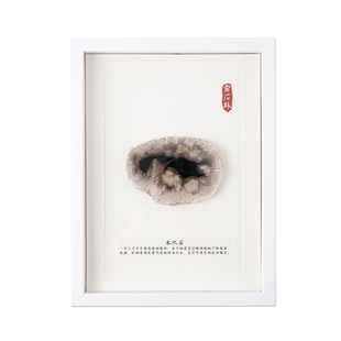 现代简约新中式展厅背景墙木化石切片挂画小众diy摆件装饰画客厅