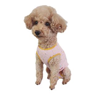 秋冬泰迪母狗狗夹棉保暖背心防着凉防舔纯棉卡通护肚包肚子衣服