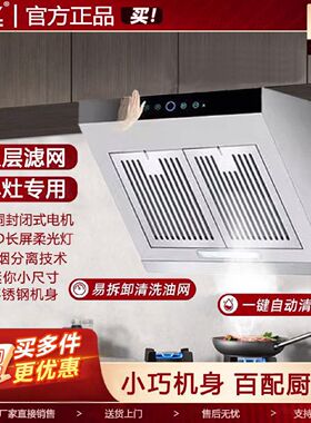 正品新飞家用油烟机小户型公寓出租屋厨房单灶吸油烟机小型侧吸式