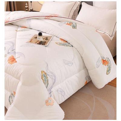 加厚蚕丝被子冬被保暖丝棉被芯春秋冬款太空被双人冬天盖被褥冬季