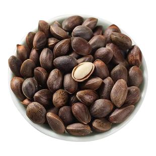 云南新鲜松子纯天然原味松子云南特产新货大颗粒薄壳散装坚果