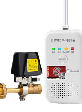 大九卫煤气罐报警器自动切断阀