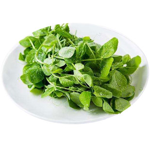 豌豆苗种蔬菜豌豆种籽尖芽苗菜种子种籽专吃苗孑苗菜籽碗豆种碗豆