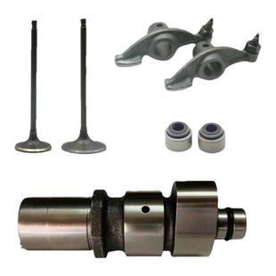 适用YAMAHA雅马哈飞致250/天剑王YBR250凸轮摇臂气门油封活塞环