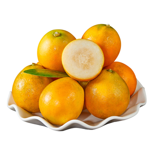 果园直发 脆蜜金柑 正宗广西融安第三代金桔新鲜水果礼盒独立包装