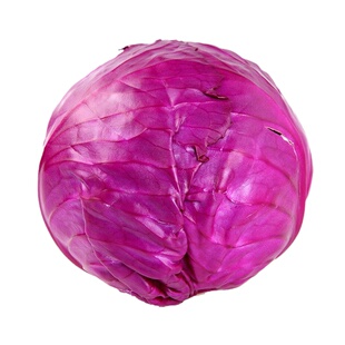 紫甘蓝包菜种子农科院紫甘蓝种籽卷心菜洋白菜球甘蓝包菜籽紫甘蓝