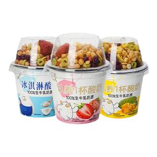 认养杯装冰淇淋酸奶草莓菠萝蜜谷物搅拌酸奶早餐营养代餐燕麦乳酪