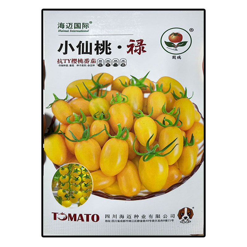 小仙桃禄黄圣女果杂交高产菜种子