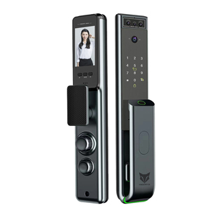 绿皮老式防盗门自碰门牛头锁防火门改装指纹锁密码锁电子锁智能锁