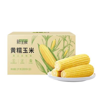 新主良常温黑龙江黑土地黄糯玉米