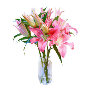 广州百合鲜花剑兰玫瑰花向日葵花束节日水养云南昆明直发同城速递