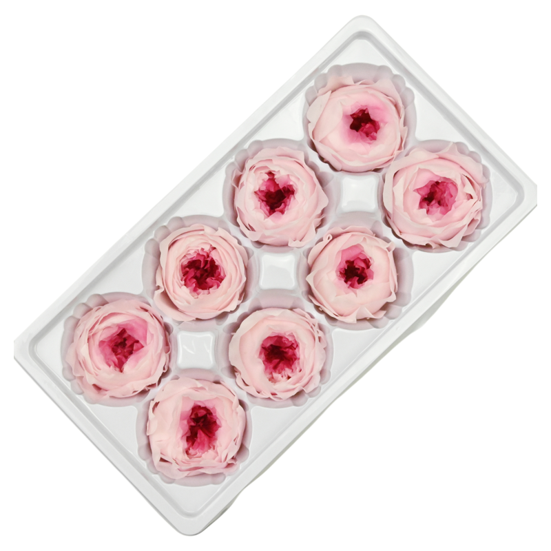 幻花永生花A级4-5奥斯汀8朵/盒diy花材材料包招财猫暴力熊奥斯丁