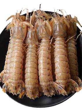 皮皮虾鲜活特大冷冻新鲜虾爬子海虾富贵虾椒盐即食濑尿虾海鲜水产