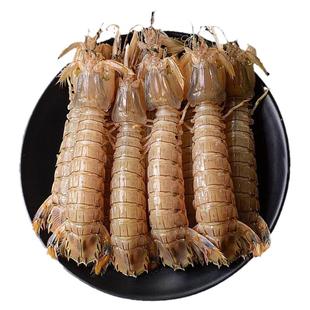 皮皮虾鲜活特大冷冻新鲜虾爬子海虾富贵虾椒盐即食濑尿虾海鲜水产