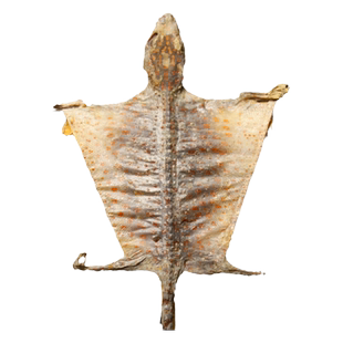 一对大蚧蛤干货定喘干补肺益肾gejie蛤蚧丸粉泡酒中药饮片泰国