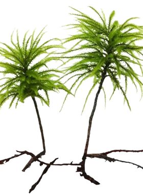 万年藓鱼缸造景水草植物雨林缸水培真草蜈蚣草绿菊花固定淡水好养