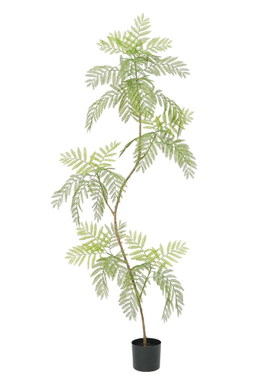 AIRSOIL仿真绿植蓝花楹装饰摆件