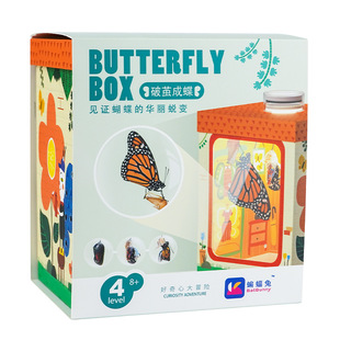 蝴蝶蛹可孵化羽化观察盲盒儿童学生科普探索实验破茧成蝶玩具礼物