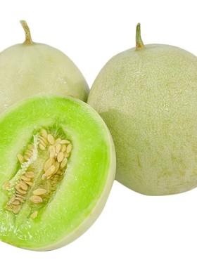 山东冰淇淋玉菇甜瓜新鲜水果当季