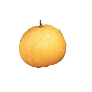 3年生正宗嫁接葡萄柚子苗葡萄柚树苗盆栽地栽葡萄柚果树苗