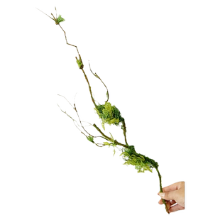 仿真苔藓树藤枯藤森系造景装饰假藤条摆放垂挂青苔藤可弯曲爬藤