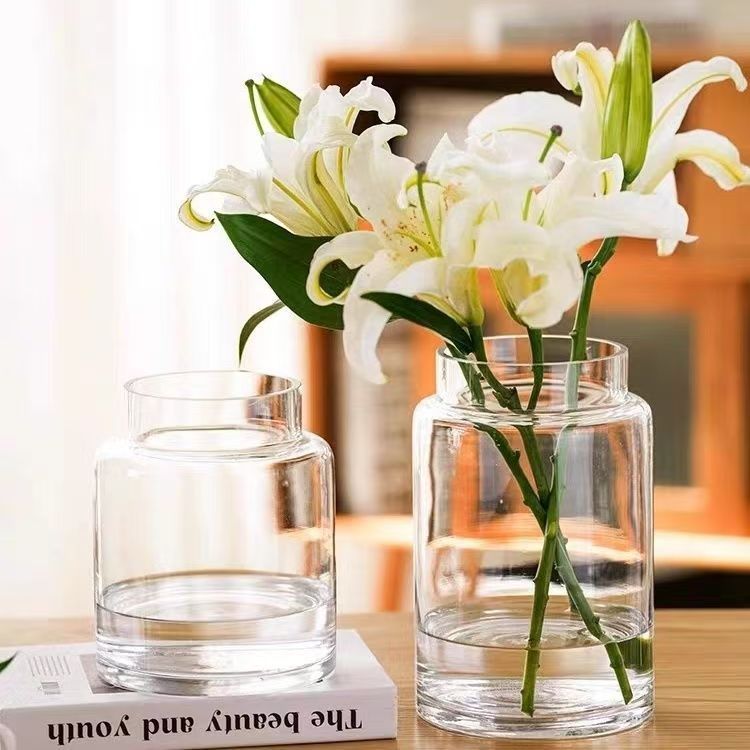 花瓶摆件客厅插花玻璃轻感奢玫瑰透明培餐桌水大肚高级口宽矮复古