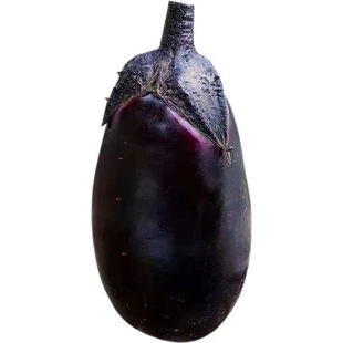 茄子种子大全长茄子紫罐茄圆茄子烧烤茄紫龙茄绿油茄子种籽种孑