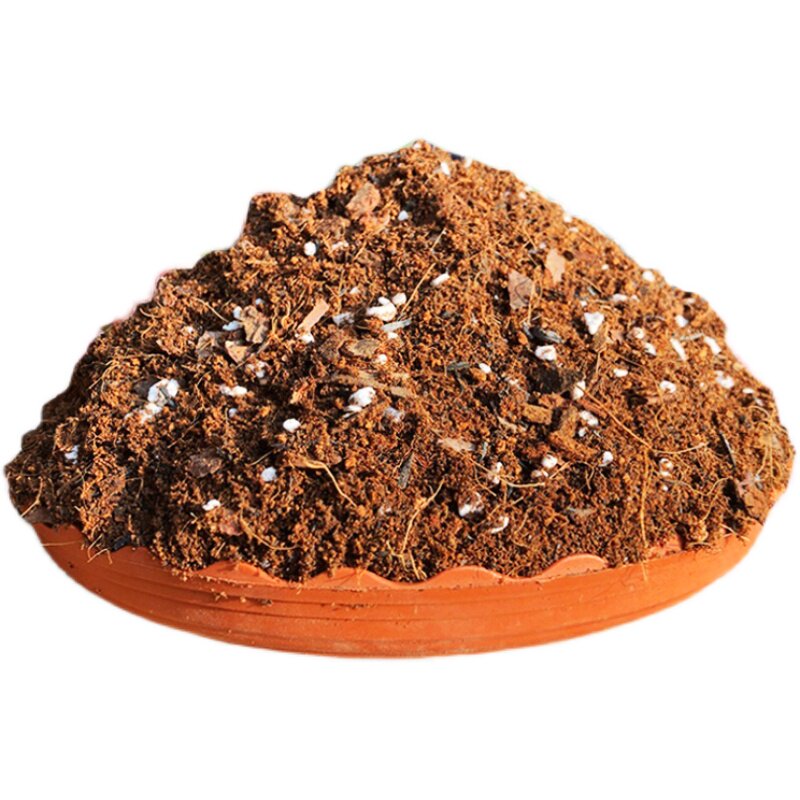 阳台种菜专用土家庭有机营养土蔬菜盆草莓胡萝卜种子育苗种植土壤