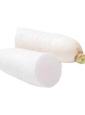 脆甜多汁大白萝卜种子板耐热耐湿