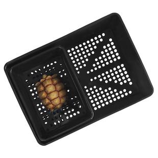 黑色白色小青乌龟发色盒小乌龟苗隔离盒鱼缸黄喉拟水龟幼龟饲养盒