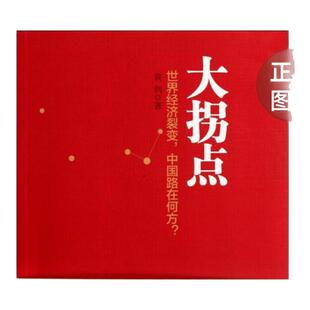 【正版书籍】大拐点世界经济裂变中国路在何方袁剑中信出版社