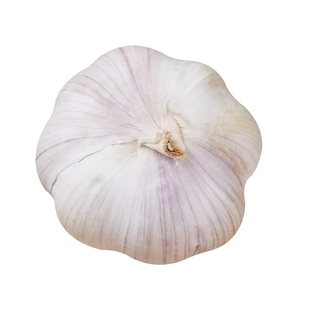 【网兜精选】山东紫皮大蒜头特级新干蒜批发价便宜特大干紫皮优质