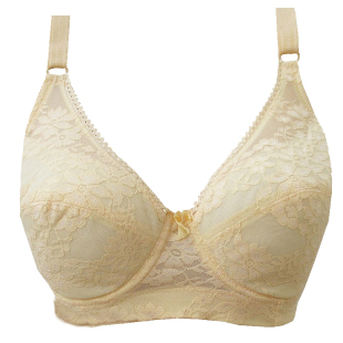 全罩杯超薄款蕾丝有钢圈文胸聚拢调整胸罩95D女士内衣胖m大码显小