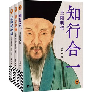 【央视网】王阳明心学入门三步走 度阴山力作 知行合一 破心中贼 反内耗心法 由深入浅领悟知行合一的无边威力 古代哲学XM
