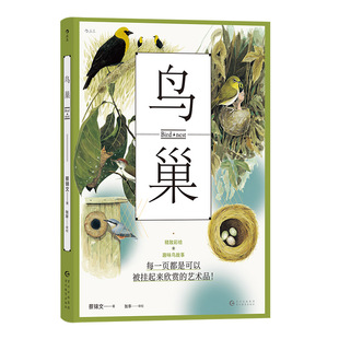 后浪正版现货 鸟巢 精致彩绘插图 鸟类筑巢习性 观鸟参考 手绘鸟类生物学科普自然图鉴普及读物