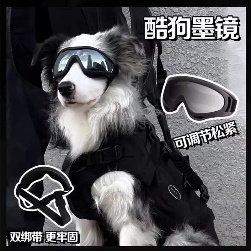 陨石边境牧羊犬狗狗护目镜防风抗UV头饰太阳眼镜大型太阳眼镜宠物