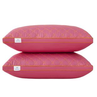 买一送一枕头枕芯一对装高回弹酒店家用单人成人不变形助眠颈椎枕