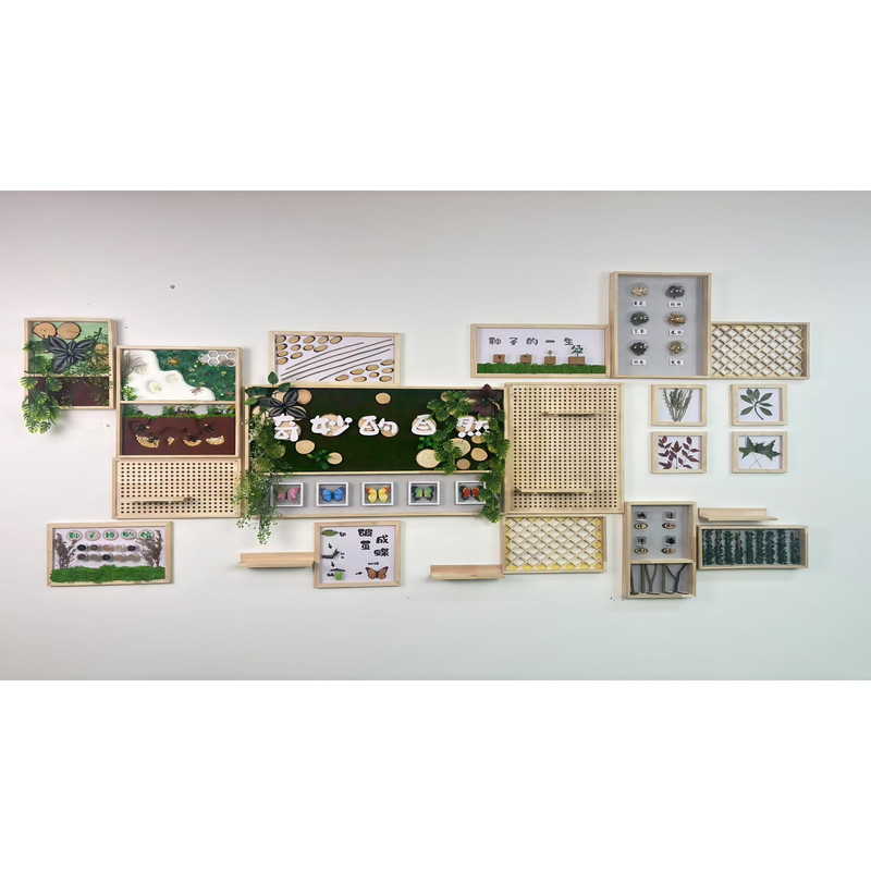 幼儿园手工环创自然教育材料昆虫模型植物中草药标本环创材料装饰