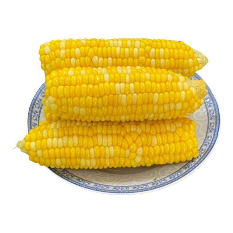 鲜嫩甜水果玉米。农家自种。