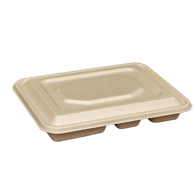 一次性餐盒打包盒环保可降解餐盘